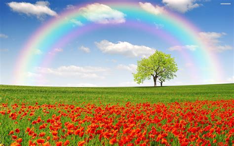 rainbow background hd